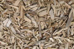 biomass boilers Galgorm